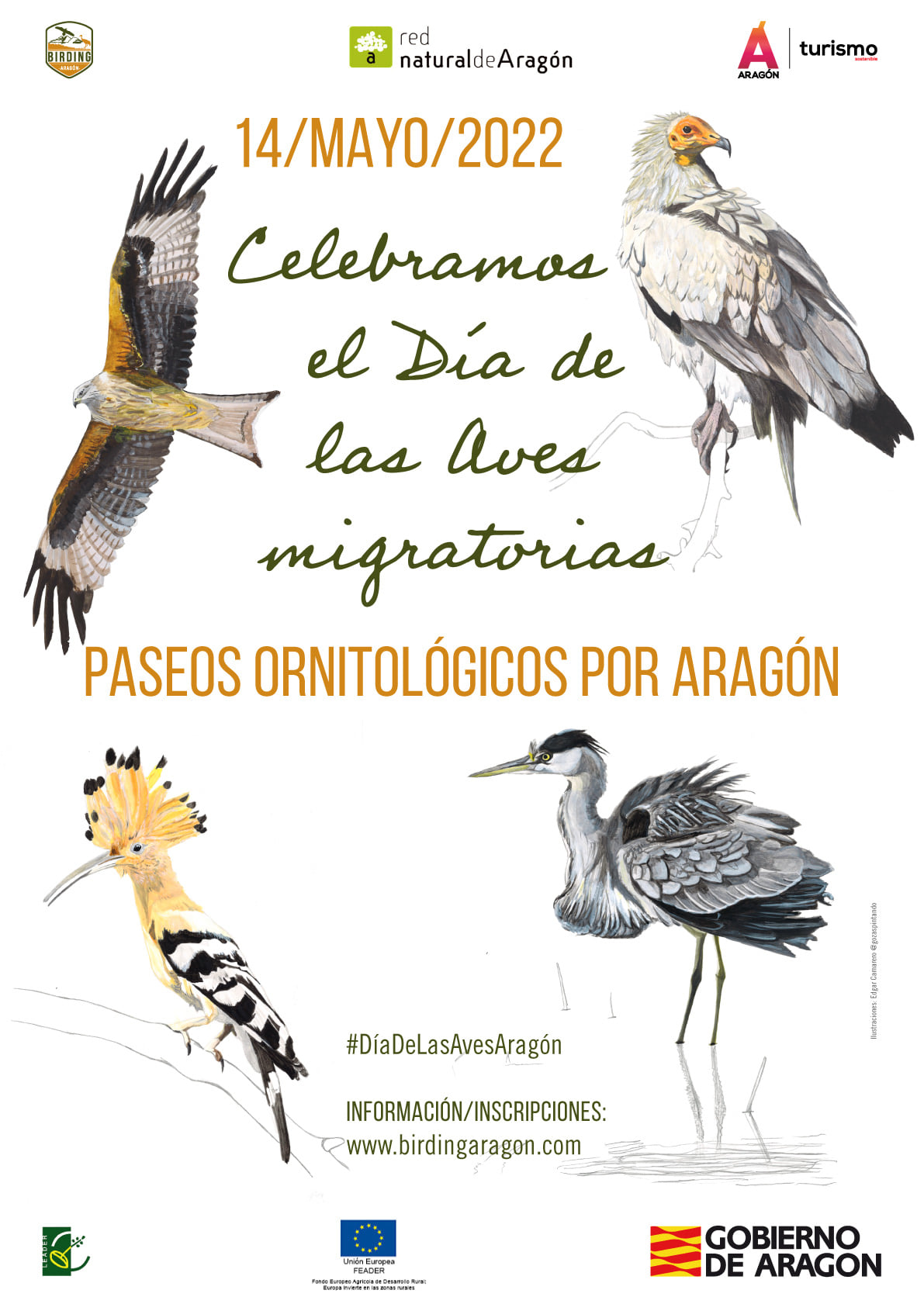 Da mundial de las Aves Migratorias 2022. Paseos ornitolgicos por La Jacetania