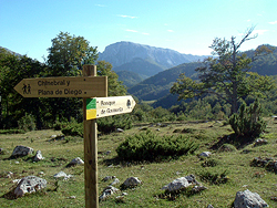 Ecological itinerary in the Forest of Gamueta