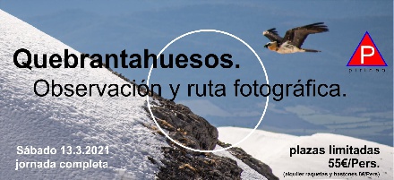 Observacin del Quebrantahuesos y ruta fotogrfica, en Villana