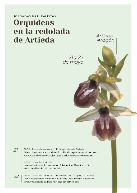 Jornadas Naturalistas Orquídeas en la redolada de Artieda